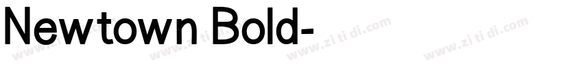 Newtown Bold字体转换